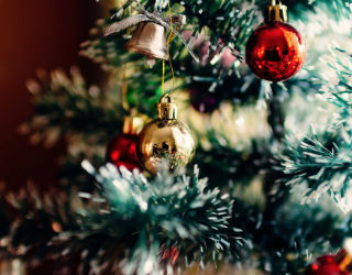 What are your plans this Christmas? Will you remain silent or will you step up and speak the Truth in love?