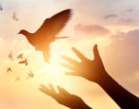 Image of The God-given mission for us in 2018 is to faithfully use our time to spread this divine truth!  