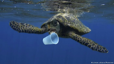 We are filling up our oceans with plastic trash, choking and killing our sea creatures.