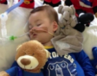 Image of Alfie Evans 
