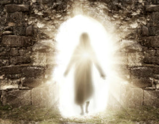 How will you respond to the resurrection? How will you respond to the resurrection?
