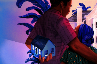 Credit: Illustration by Zoe van Dijk
