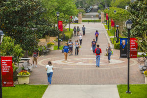 The University of St. Thomas - Houston