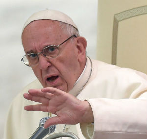 'Pope Francis is acting as a pastor, as a father, for the good of the entire People of God.'
