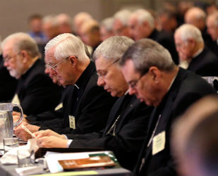 U.S. Bishops were set to vote on sex abuse reform measures.