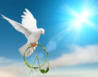 'No to NATO -- Yes to Peace.'