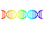 Image of LGBT