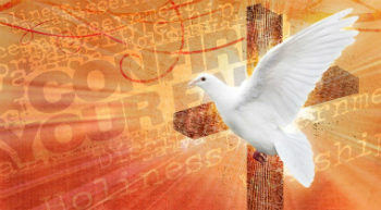 Can I make my Confirmation online?