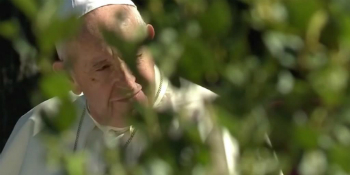 Pope Francis has suggested the addition of ecological sins to the catechism.
