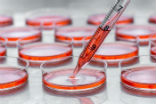 Image of Culturing cells