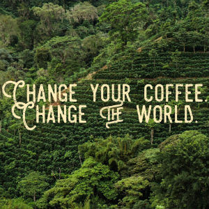 Image of Guadalupe Roastery sources coffee directly from the farmer in Nicaragua. (Guadalupe Roastery/FACEBOOK)