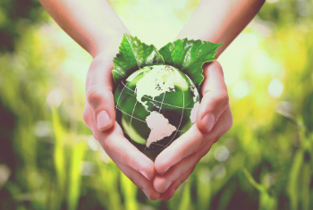 Image of We are stewards of creation, not masters of the Earth. We have an obligation to use the goods of the Earth to care for one another. 