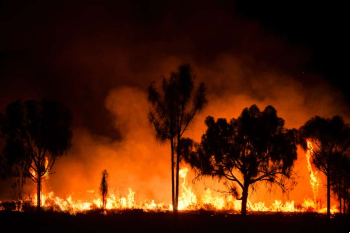 Image of Bush fire in Australia