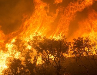 Image of Image by skeeze from Pixabay 