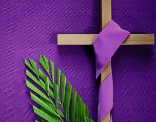 Image of