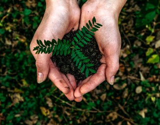 Image of Photo by Noah Buscher on Unsplash