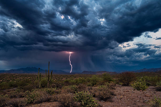 Image of The truth is like rain in the desert. It is simple, pure, and it brings life. This is how we must be. 