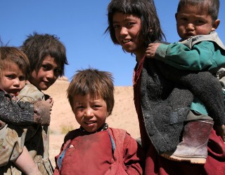 Image of 