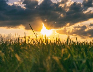 Image of Photo by Aaron Burden on Unsplash