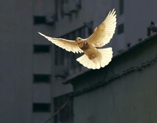 Image of Photo by Sunguk Kim on Unsplash