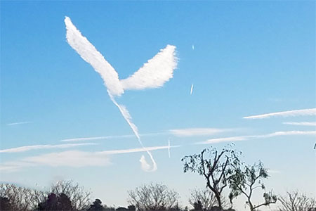 Image of Do you see an angel? We do!
Photo Credit: Benita Montano