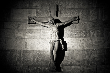 Image of 