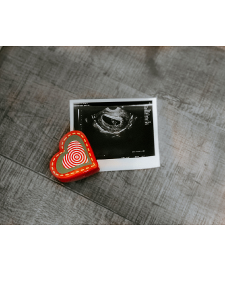 Image of Photo credit: Viviana Rishe