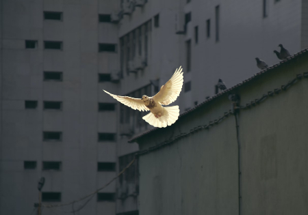 Image of Photo credit: Sunguk Kim
