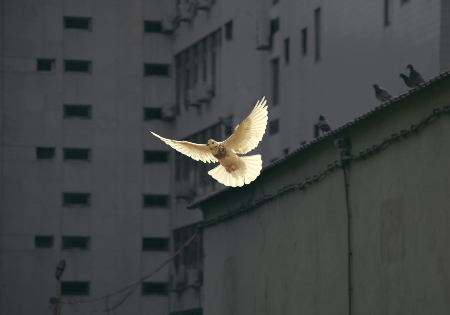 Image of Photo credit: Sunguk Kim