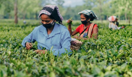 Image of Via Unsplash