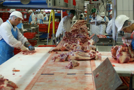 Image of Photo credit: Jai79