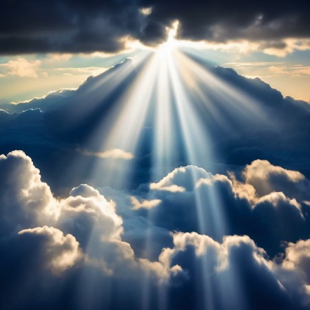 Image of 