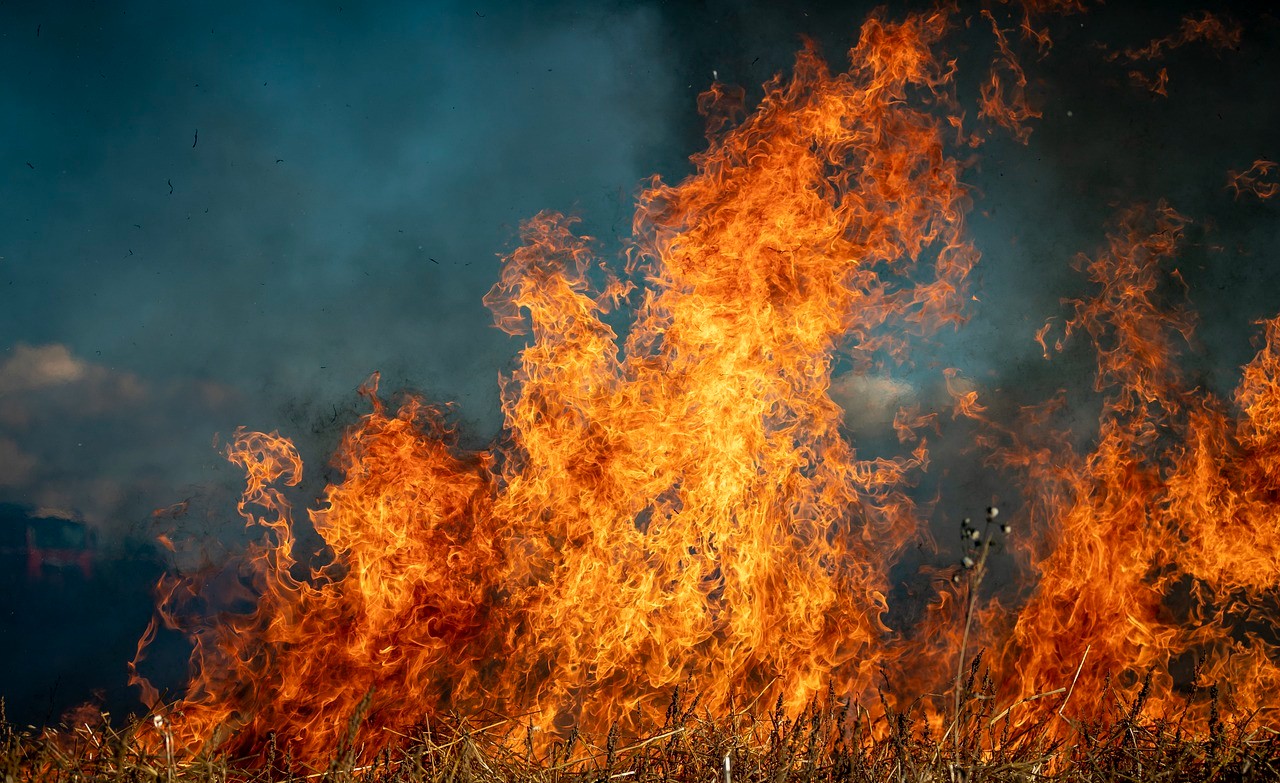 Image of Massive wildfires devastated the Los Angeles area, destroying homes, claiming lives, and forcing thousands to flee in the face of relentless flames and fierce winds.
