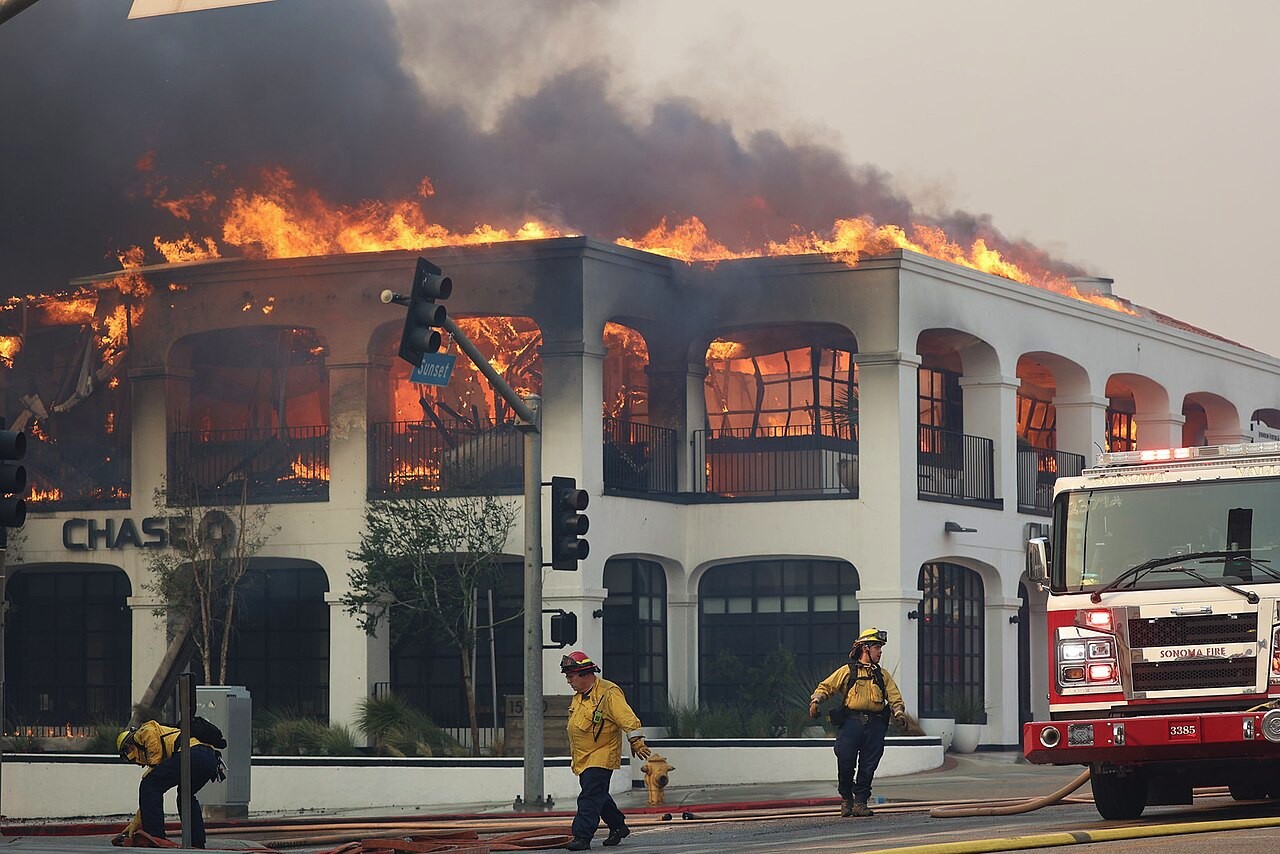 Image of Wildfires have claimed at least 25 lives in Los Angeles County, with ongoing investigations into arson and more than 150 leads being pursued. (Wikimedia Commons)