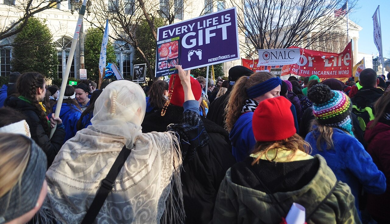 Image of 2015 March for Life in Washington D.C. (Wikimedia Commons)