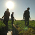 Image of MIGRANT FIELDWORKERS HARVEST WATERMELONS – Fieldworkers from Mexico harvest watermelons in the early morning May 19 at a Pasquinelli Produce Co. field about 30 miles east of Yuma, Ariz. Located near the Mexican border, the company knows firsthand some of the problems migrant farmworkers face with the U.S. immigration system. (CNS)