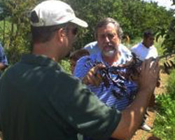 Image of APPLE GROWERS SHARE INFORMATION – Ralph Broetje (center), founder of Broetje First Fruits of Washington, discusses growing techniques with Juan Gonzalez, Frente Democratico Campesino apple grower, on an orchard in Chihuahua, Mexico. A Catholic Relief Services program links Mexican and U.S. apple farmers and the advanced technology used to harvest them. The program has already improved the quality of life for dozens of Mexican farming families, decreasing their need to migrate to the United States. (CRS)
