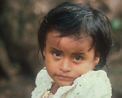 Image of CHILD OF WAR - A refugee from the war in El Salvador looks into the camera lens of Mary Carty, who visited refugee camps in El Salvador and Honduras in 1986. (Mary Carty)