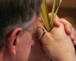 Image of MAN IN PRAYER CLUTCHES PALM – A man clutches palm fronds as he prays during a Palm Sunday Mass at St. Agnes Cathedral in Rockville Centre, N.Y., in 2006. Palm Sunday, also known as Passion Sunday, commemorates Christ's jubilant entry into Jerusalem and marks the beginning of Holy Week. Palm Sunday is celebrated April 1 this year. (CNS/Long Island Catholic)