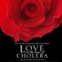 Image of Love in the Time of Cholera (New Line)