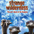 Image of Strange Wilderness (Paramount)