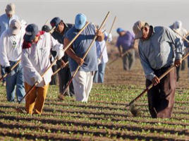 Image of Though we rarely picture the kind of long lines of factory workers as the norm of human work in our technological age, the fact is that this is the experience of many workers. The 