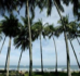 Image of A general view shows Tamarindo beach, in Santa Cruz de Guanacaste, 250 miles (402 km) north of San Jose, April 29, 2008. Once home to monkeys, turtles and other rare wildlife, this stretch of coast in northwest Costa Rica is developing so fast that it is tarnishing the country's reputation as a destination for eco-tourists.