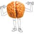 Image of Studies show that exercise postively affects the hippcampus, the part of the brain vital to memory and learning.