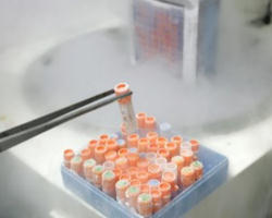 Image of “Behind every ‘no’ in the difficult task of
discerning between good and evil, there shines a great ‘yes’ to the recognition of the dignity and inalienable value of every single and unique human being called into existence.”
