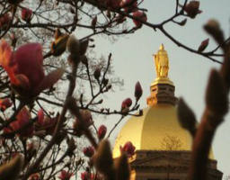 Image of The face of Our Lady atop the Dome of the University of Notre Dame.