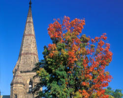 Image of These are the two things I want you, please, to remember – abortion is a blessing and our work is not done. Let me hear you say it: abortion is a blessing and our work is not done. Abortion is a blessing and our work is not done. Abortion is a blessing and our work is not done.