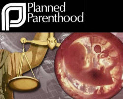 Image of Planned Parenthood provided for the commission of 305,310 abortions in 2007. They make the point of telling the reader that this activity only expended 3% of their annual budget. I guess that is intended to convince the reader that they are efficiently undertaking the execution of the young.