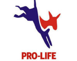Image of 'Nineteen Democrats breaking the fold is a sign that not everybody within the Democratic Party is completely sold out to the abortion lobby' Shaun Kenney, executive director of the American Life League, the largest grassroots Catholic pro-life education organization in the United States.
