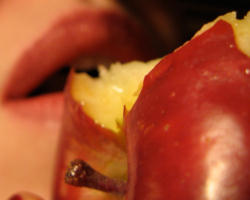 Image of All I see today are people living as gods of themselves, answering to no one but themselves, serving no one but themselves. The prideful, clouded and fallible judgment of man is being placed above the infallible and supreme authority of God, and amazingly, people are still clueless as to why the result is despair and chaos. 